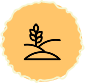 icon-img4