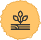 knowledge-icon2