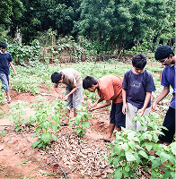 Traditional activity