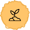 radial-icon4
